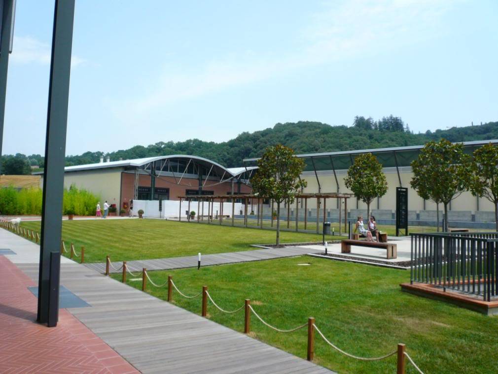 P1020028-1.jpg