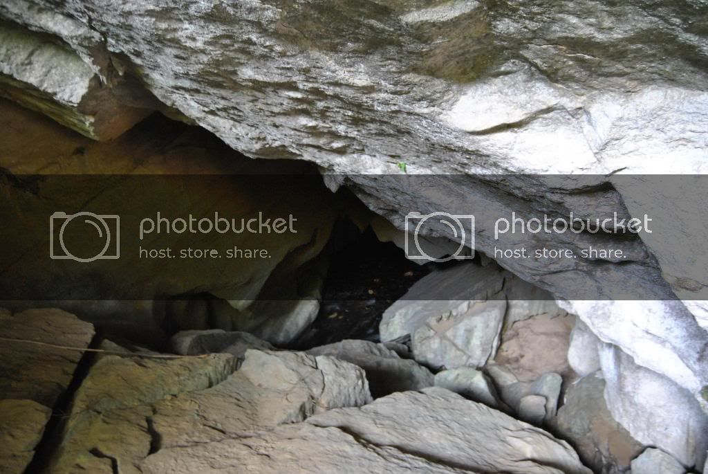 DSC_0532.jpg