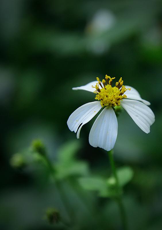 _MG_5616.jpg