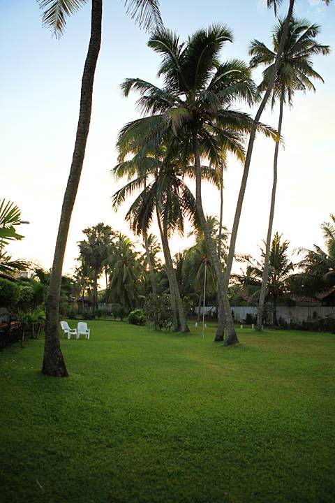 IMG_7350_zps67088515.jpg