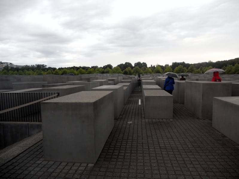 DSCN8660.jpg