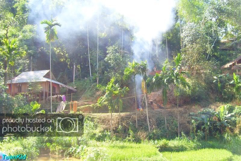 SDC12861.jpg