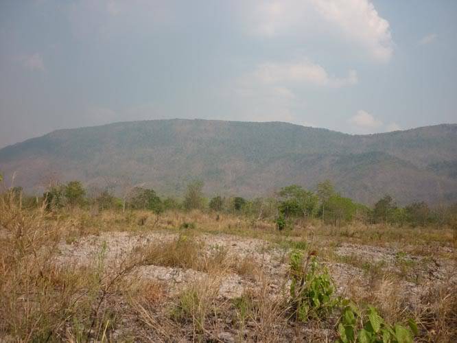 P1030027.jpg