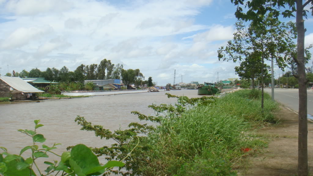 305.jpg