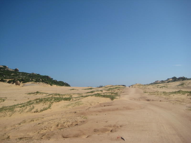 Picture146.jpg