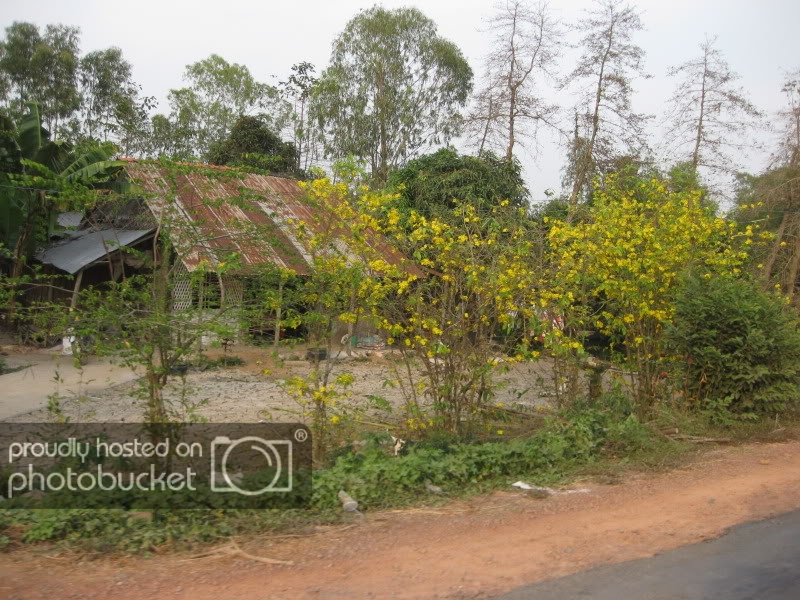 DongThapTET2011521.jpg