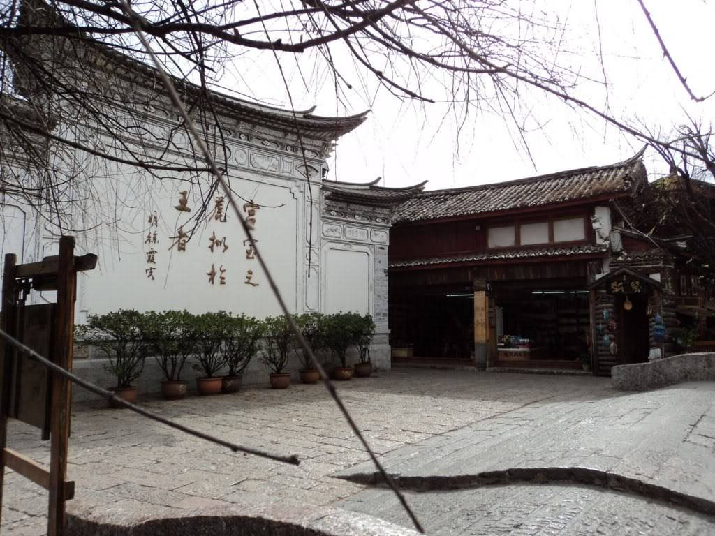 DSC01770.jpg