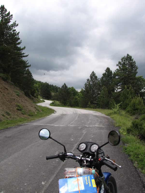 IMG_4354.jpg