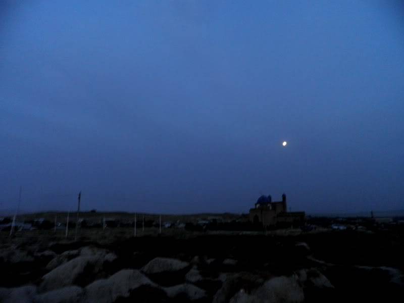 P8220944.jpg