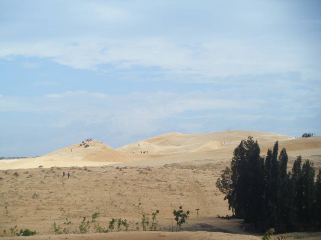 DSCF9434.jpg