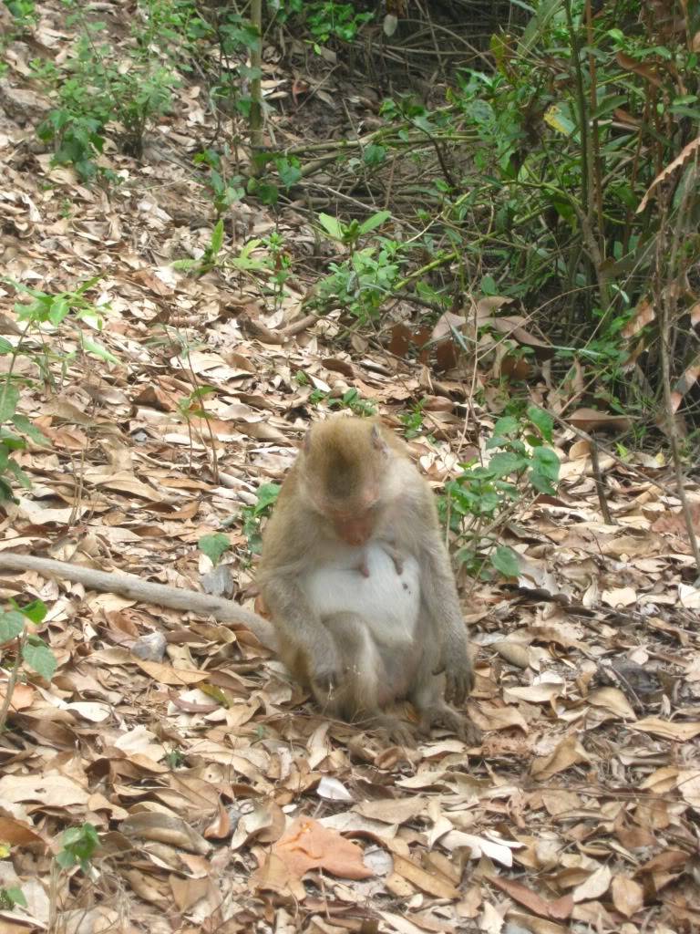 IMG_8728.jpg
