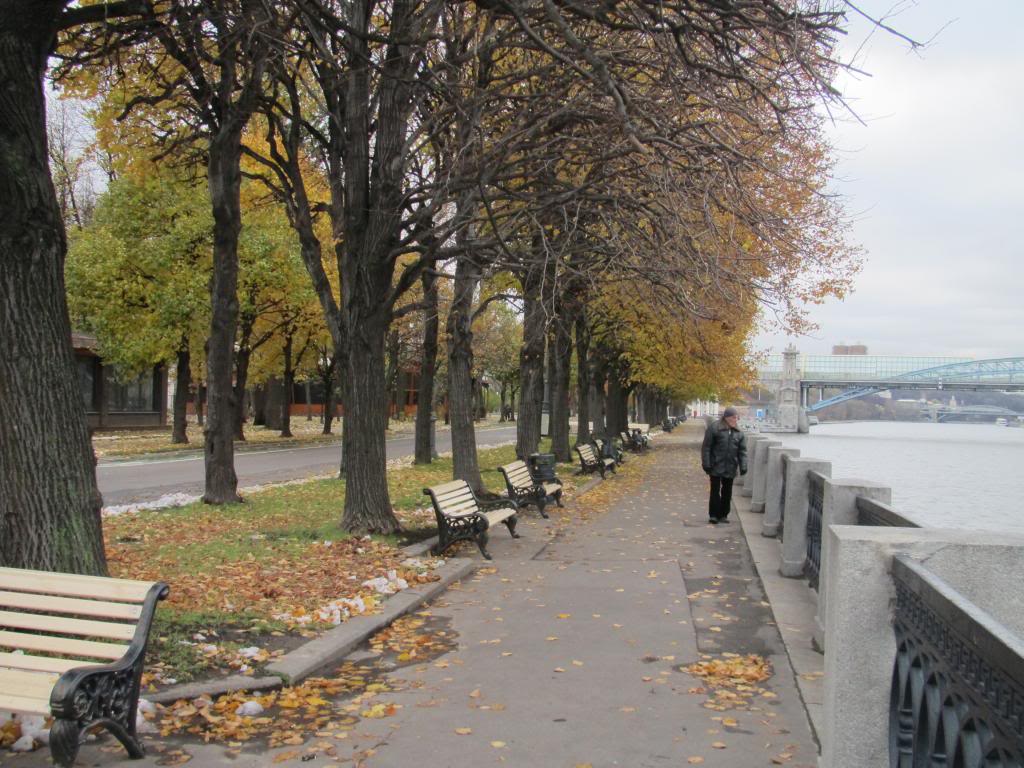 IMG_7492_zpsba92810f.jpg
