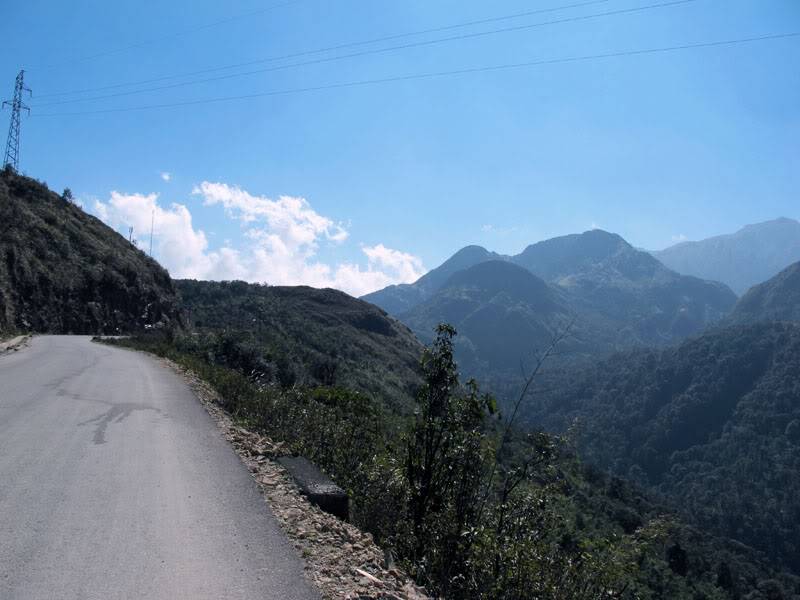 HongNgai2011155.jpg