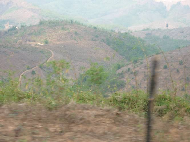 P1050697.jpg