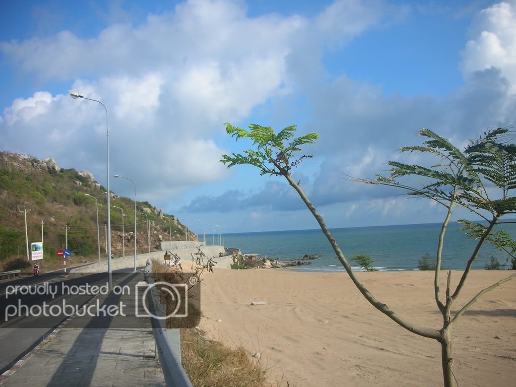 DSCN5230.jpg