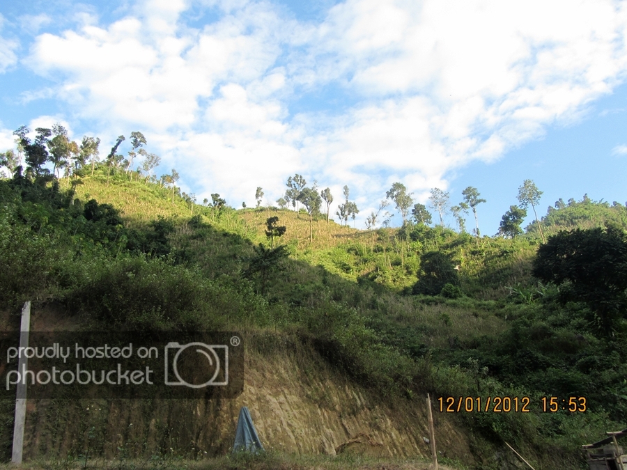 IMG_0823_zpsfaa6fb3d.jpg