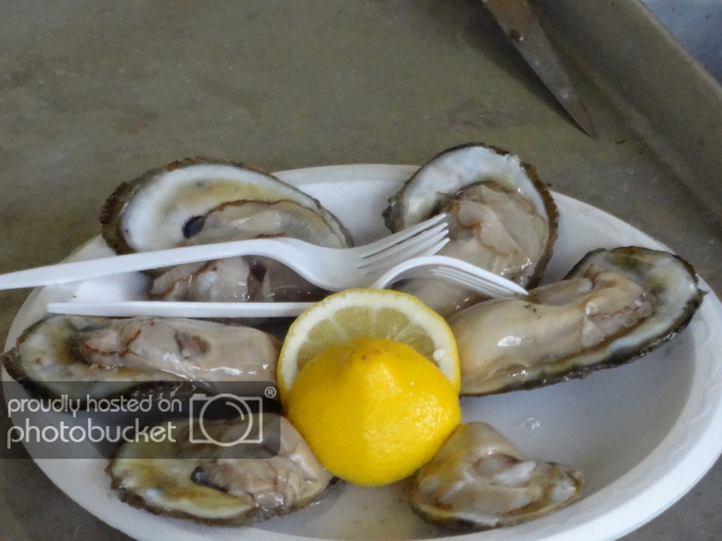 DSC01370.jpg