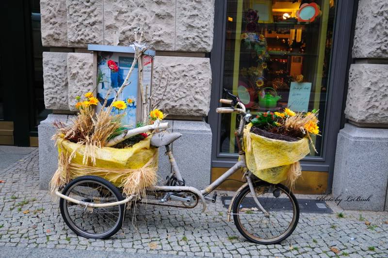 Duc-Berlin071.jpg