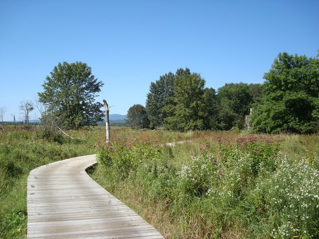 DSC04648.jpg