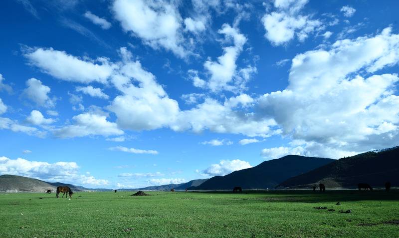 DSC_2728_zpspyaoafbt.jpg