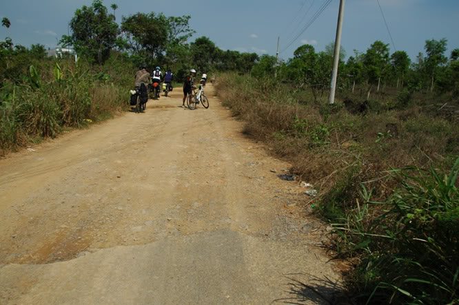 DSC_3733.jpg