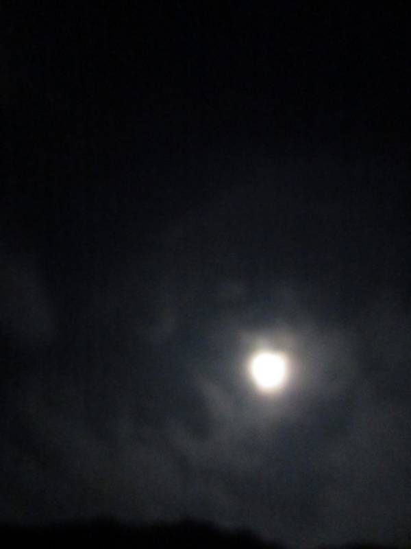 IMG_3584_2_resize.jpg