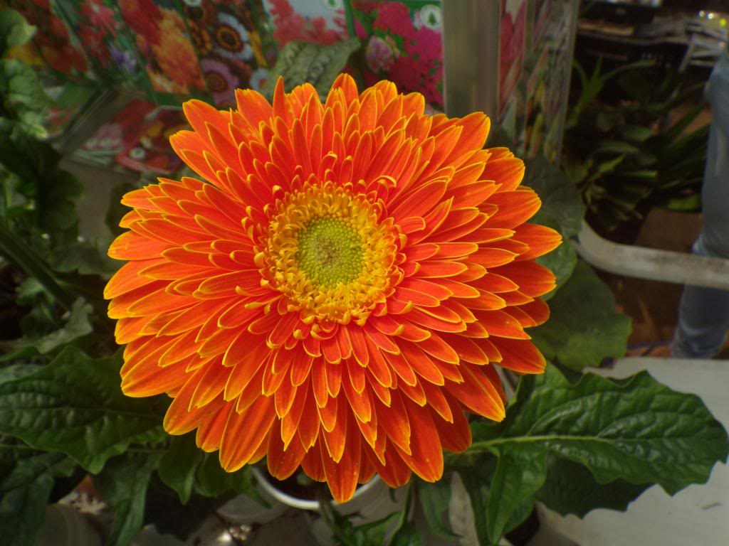 419_zps535c7101.jpg