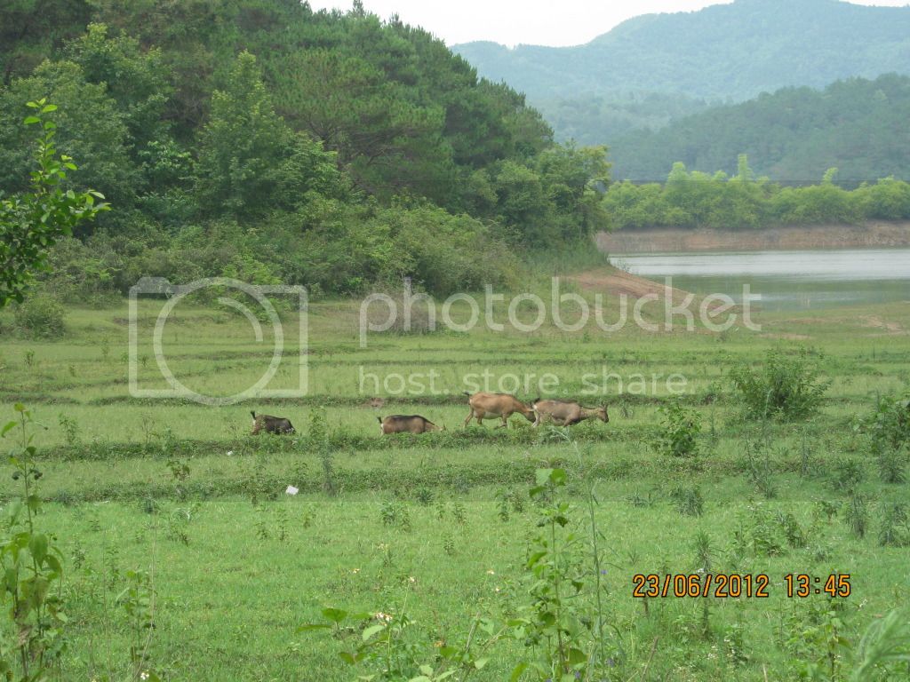 IMG_0292.jpg