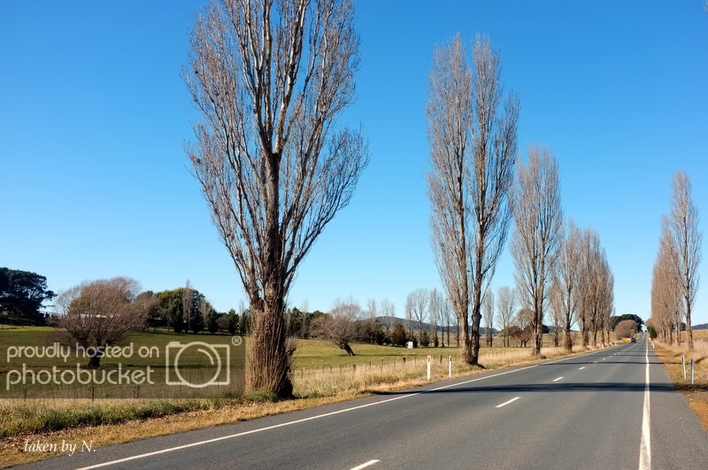 2012_0522GJ.jpg