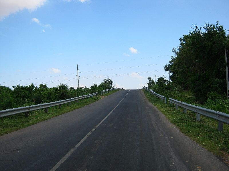 IMG_6375.jpg