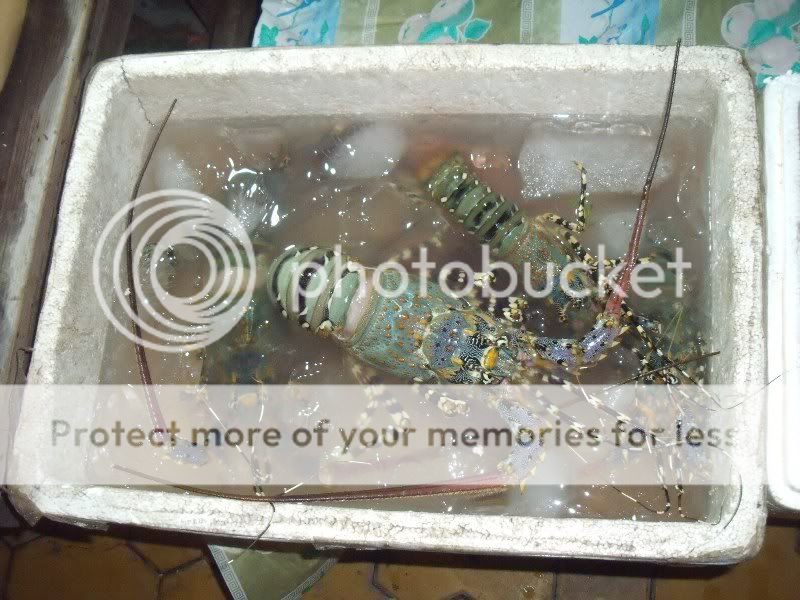DSCF3403.jpg