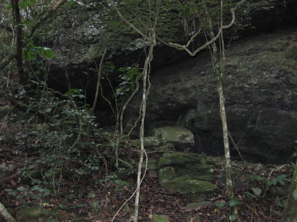 IMG_0565-1.jpg