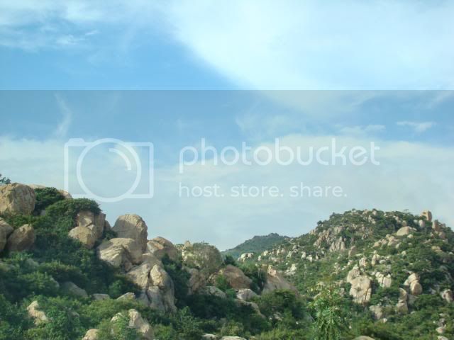 DSC00337.jpg