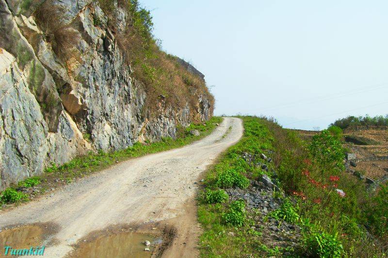 SDC16611.jpg