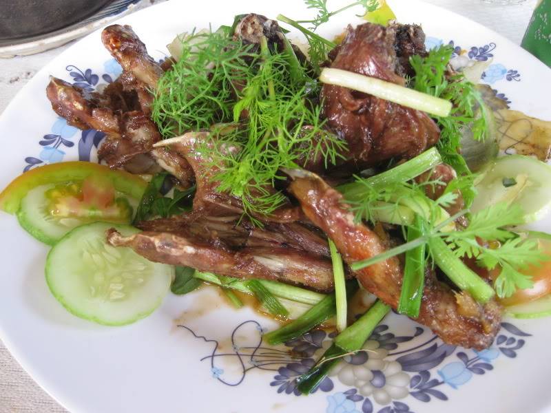 DongThapTET2011353.jpg
