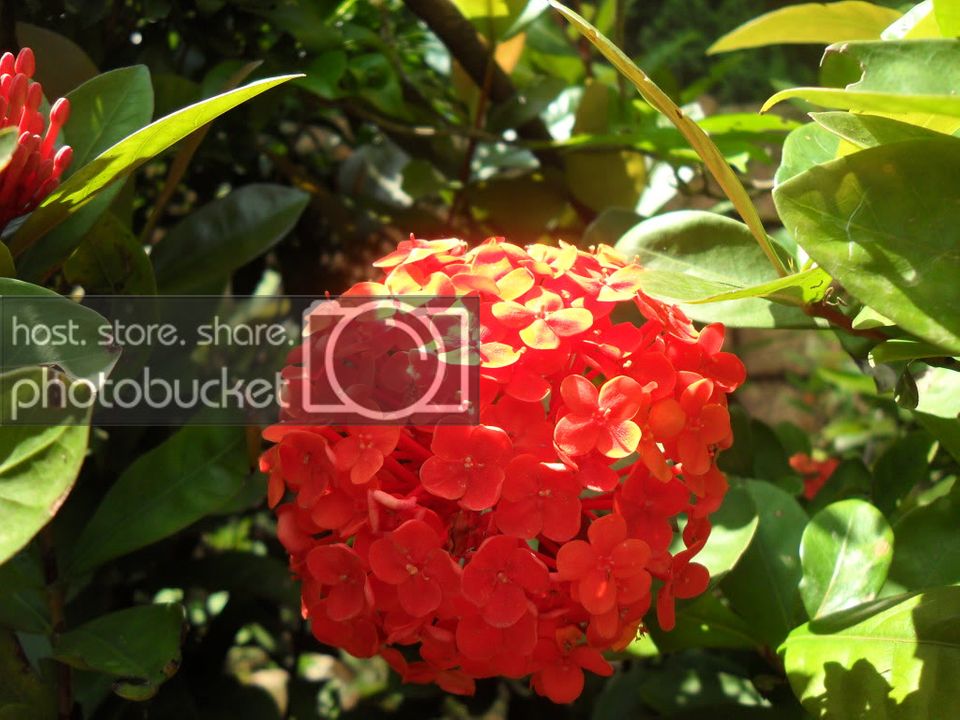 SDC14587.jpg