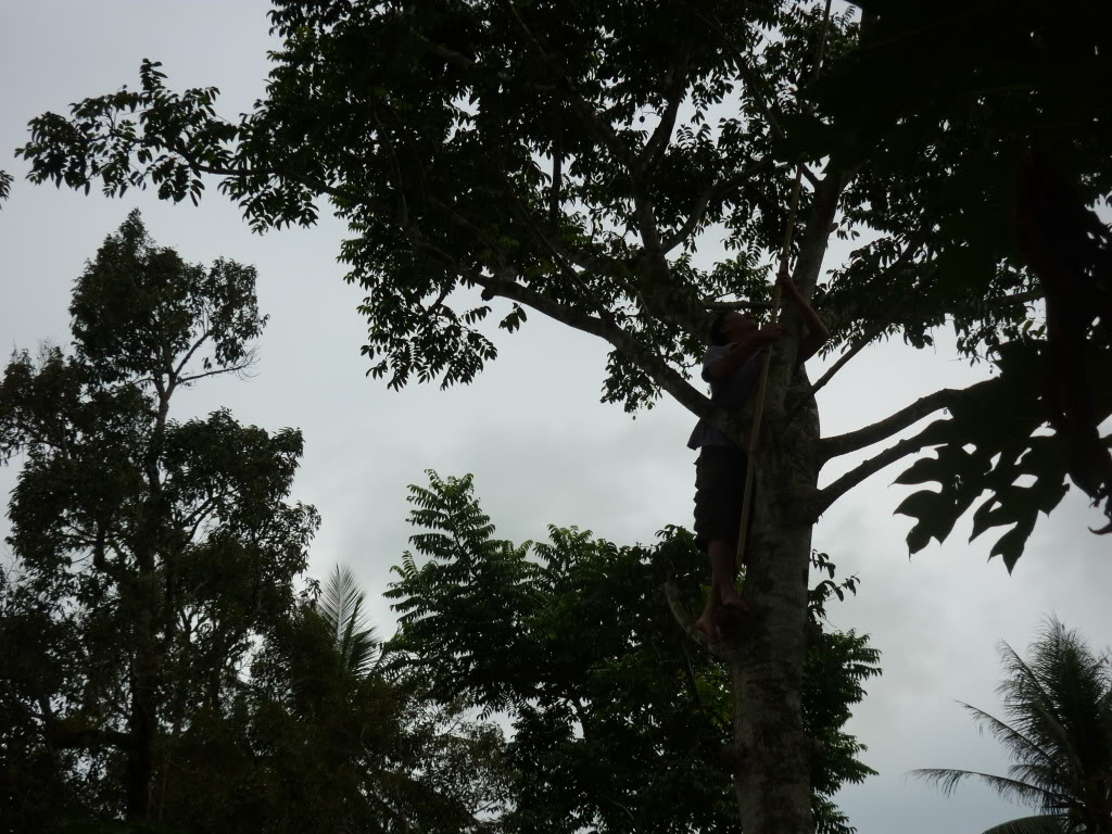 P1030710.jpg