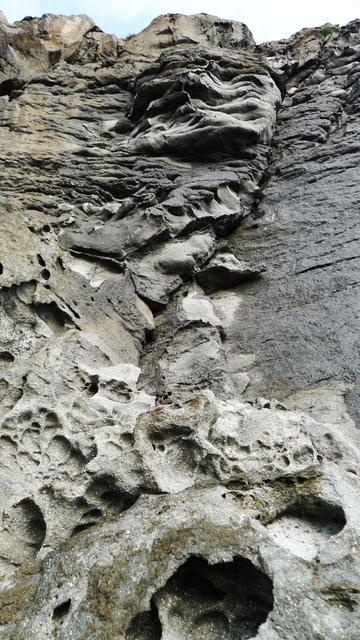 P1020827_zps7c3e99d3.jpg
