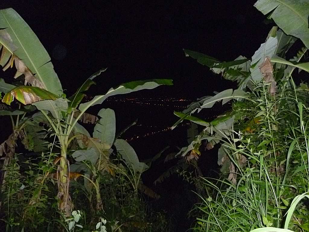 P1050521.jpg