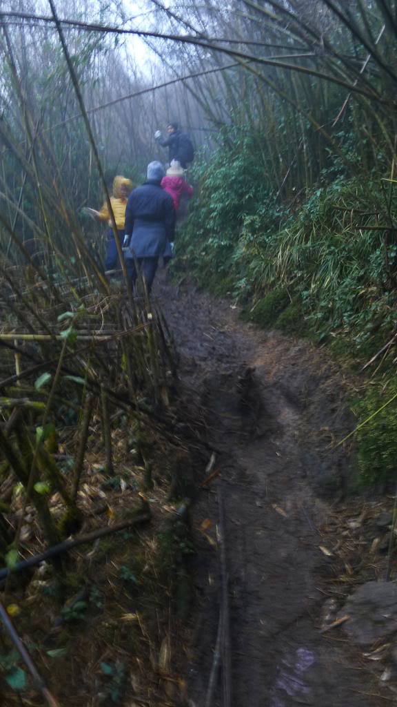 P1140874.jpg