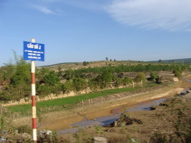 DSC07784.jpg