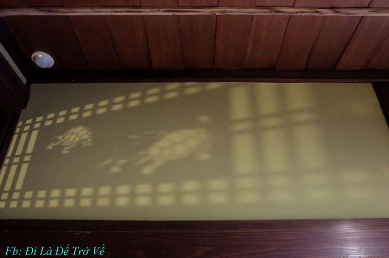 42980794795_2bb51c1f2a_c.jpg