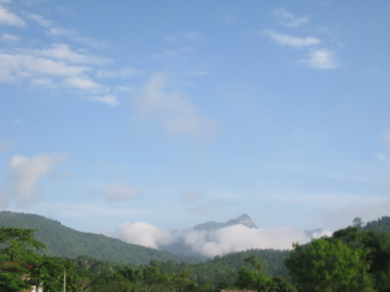 IMG_1785.jpg