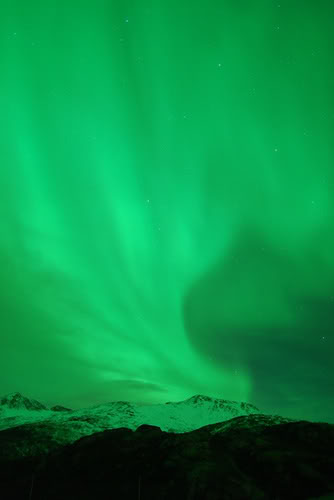 2169869209_118201e70c.jpg