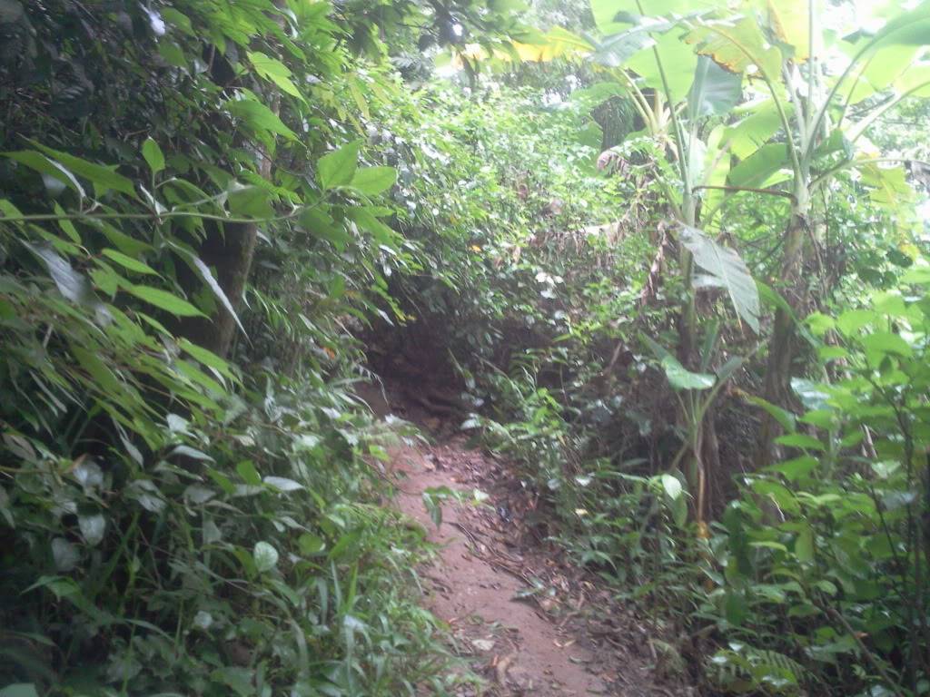 Photo0816.jpg