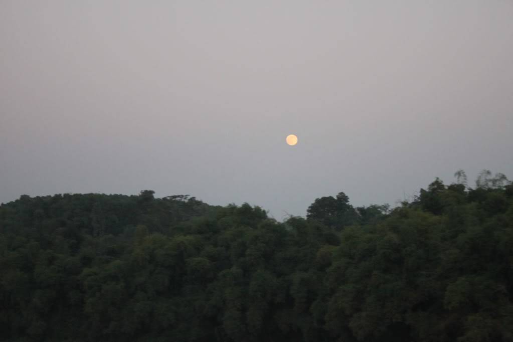 IMG_9426.jpg