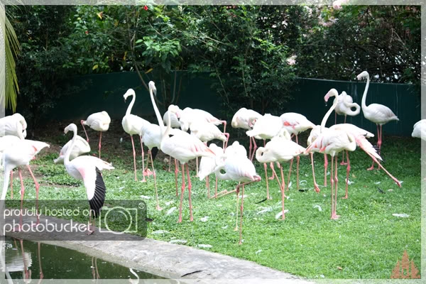 birdpark18.jpg