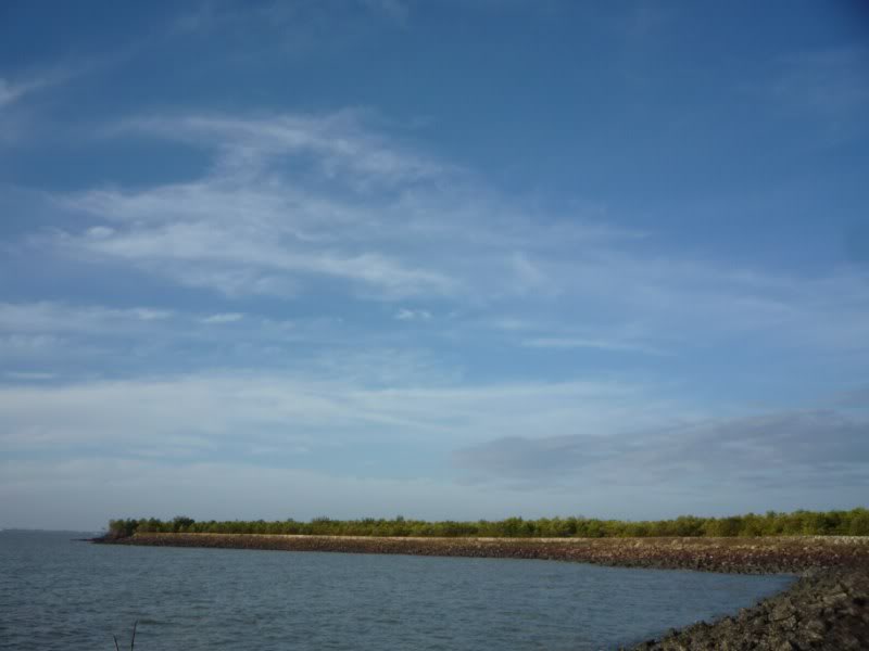 P1030220800x600.jpg