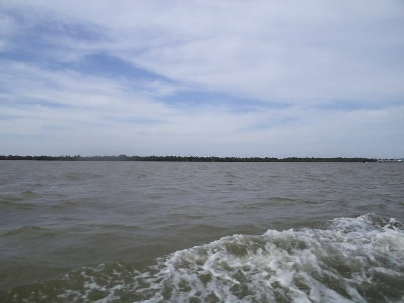 DSC00906.jpg