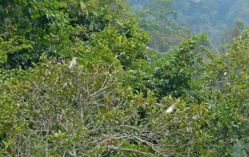 P1050586.JPG